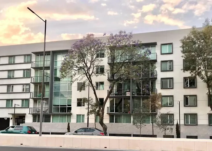 At The Heart Of Restaurants And Night Life Mexico City